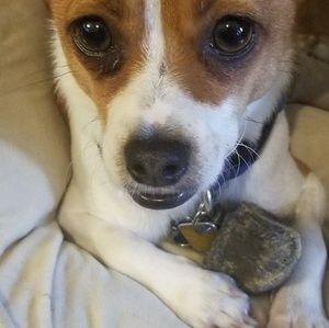 Meet your Posher, Valentina